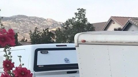 Armas y fuegos pirotécnicos fueron decomisados.