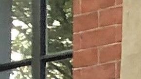 Cathy Marino-Thomas es una de las activistas de GAG.