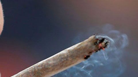 Gael García gusta de fumar marihuana.