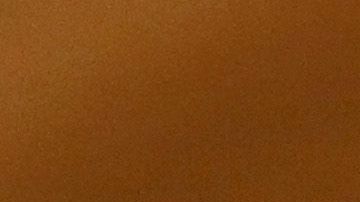 El presupuesto estatal es el primero del gobernador demócrata Gavin Newsom.