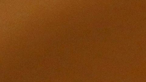 El presupuesto estatal es el primero del gobernador demócrata Gavin Newsom.