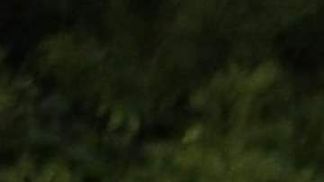 Inmigrantes  cruzan de Nicaragua a Costa Rica.