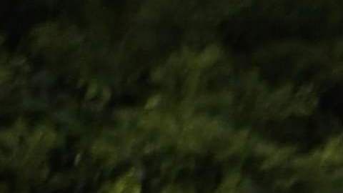 Inmigrantes  cruzan de Nicaragua a Costa Rica.