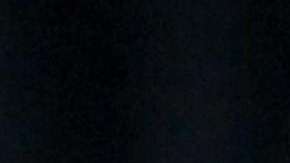 Joe Biden defiende los aportes de inmigrantes a EEUU.