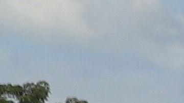 La ONG Pueblo Sin Frontera denunció también la detención de dos defensores de DDHH.