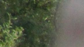 US-POLITICS-MEXICO-BORDER-IMMIGRATION-MIGRANTS