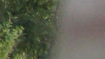 US-POLITICS-MEXICO-BORDER-IMMIGRATION-MIGRANTS