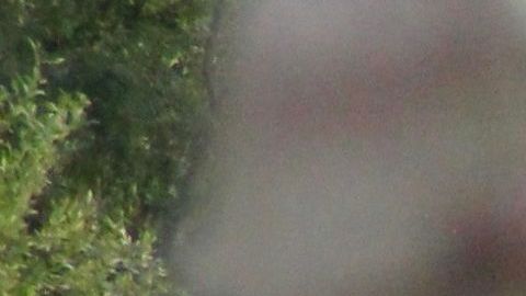 US-POLITICS-MEXICO-BORDER-IMMIGRATION-MIGRANTS