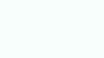 Trump se encuentra en graves aprietos en Nueva Hampshire, Wisconsin, Michigan y otros estados clave de 2020