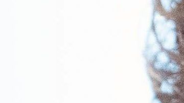 Los temas estrella de Donald Trump son últimamente el muro fronterizo y los aranceles.