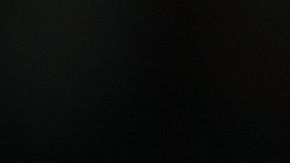 Andy Murray en el Australian Open 2019.