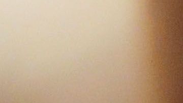 No solo sus impuestos, Trump también busca ocultar sus calificaciones