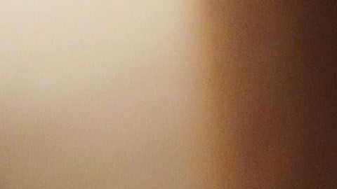 No solo sus impuestos, Trump también busca ocultar sus calificaciones