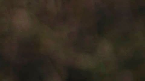 En Eagle Pass, Texas, es común el rescate de menores del río, como lo muestra la imagen del 14 de febrero de 2019.