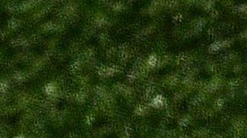 Gianluigi Buffon en el Parc Des Princes.