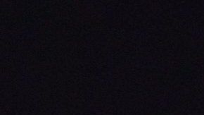 Arnold Schwarzenegger.