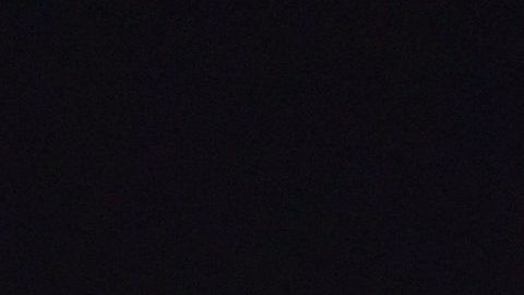 Arnold Schwarzenegger.