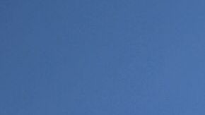 Manifestantes exigen un censo justo ante el Tribunal Supremoa.