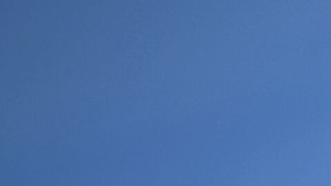 Manifestantes exigen un censo justo ante el Tribunal Supremoa.