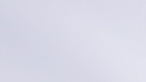 Dice que los musulmanes son "perros rabiosos" y los acusa de "robar y violar a las mujeres birmanas"