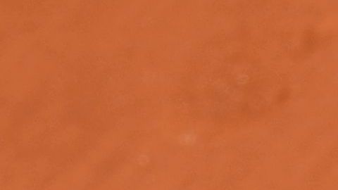 Thiem y Monfils acabando su partido en el Abierto de Francia.