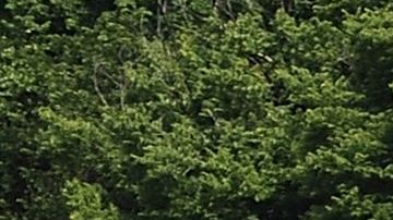 Inundaciones del río Mississippi el 7 de junio de 2019 en Grafton, Illinois.