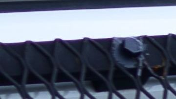 Un video capta el momento exacto del hallazgo de las autoridades mexicanas