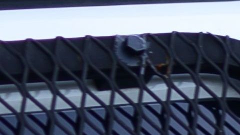 Un video capta el momento exacto del hallazgo de las autoridades mexicanas