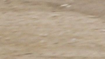 La Guardia Nacional mexicana fue captada deteniendo a inmigrantes.