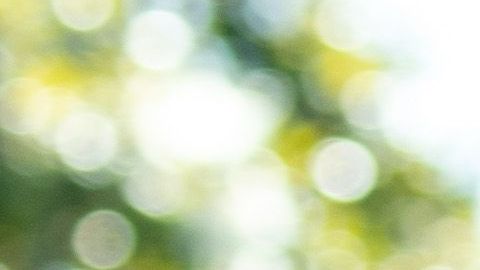 Temas migratorios, separación de familias y niños detenidos en centros fronterizos, siguen siendo el punto débil de Trump.