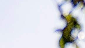 El primer debate para las primarias demócratas con miras a las elecciones presidenciales del 2020 se llevará a cabo en Miami, Flroida.