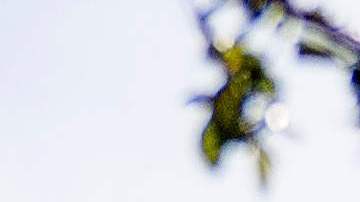 El primer debate para las primarias demócratas con miras a las elecciones presidenciales del 2020 se llevará a cabo en Miami, Flroida.