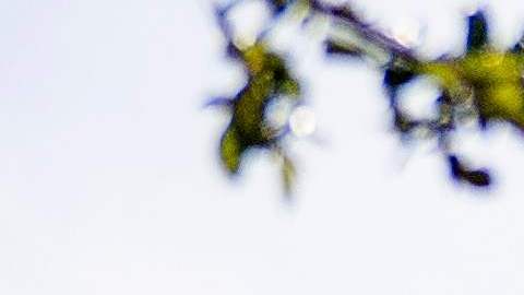 El primer debate para las primarias demócratas con miras a las elecciones presidenciales del 2020 se llevará a cabo en Miami, Flroida.