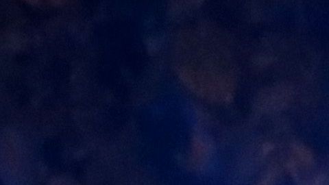 Autoridades investigan el tiroteo ocurrido en Virginia Beach.