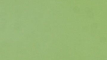 Trump vuelve a dejar claro lo que haría por mantenerse en el poder