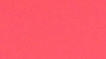 Bol Bol en el Barclays Center.