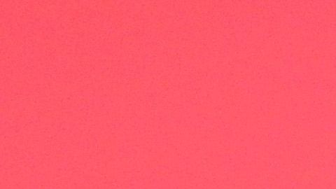 Bol Bol en el Barclays Center.