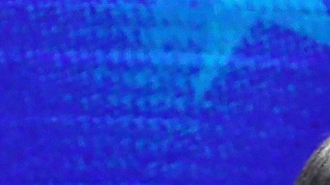 Chuck Todd de NBC saluda a los precandidatos que participaron en el debate,