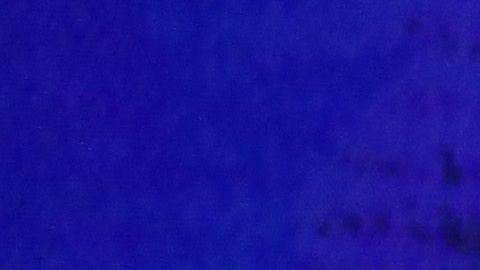 Candidatos a la nominación demócrata Vice Presidente Joe Biden, el Sen. Bernie Sanders y la Sen. Kamala Harris.