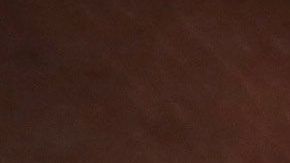 El proceso biométrico es uno de los esfuerzos de USCIS para evitar fraudes.