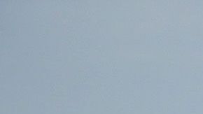 Algunos de los grupos más numerosos fueron detenidos en vehículos de transporte de carga.