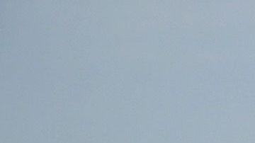 Migrantes en "La Bestia".