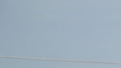 Migrantes en "La Bestia".