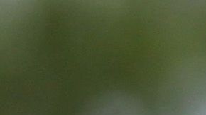 Se conoce la verdad de ciertas cifras que utiliza el gobierno para justificar su agenda migratoria