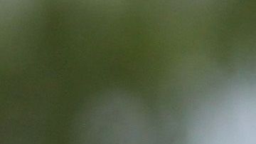 Se conoce la verdad de ciertas cifras que utiliza el gobierno para justificar su agenda migratoria