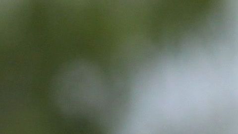 Se conoce la verdad de ciertas cifras que utiliza el gobierno para justificar su agenda migratoria