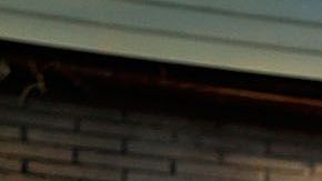 El NYPD acudió en ayuda del joven de 17 años.