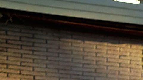 El NYPD acudió en ayuda del joven de 17 años.