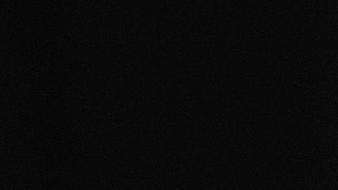 Lili Estefan, conductora de El Gordo y la Flaca.