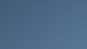 Aún se desconoce el número exacto de niños indocumentados que Trump separó de su familia.